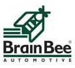 BrainBee